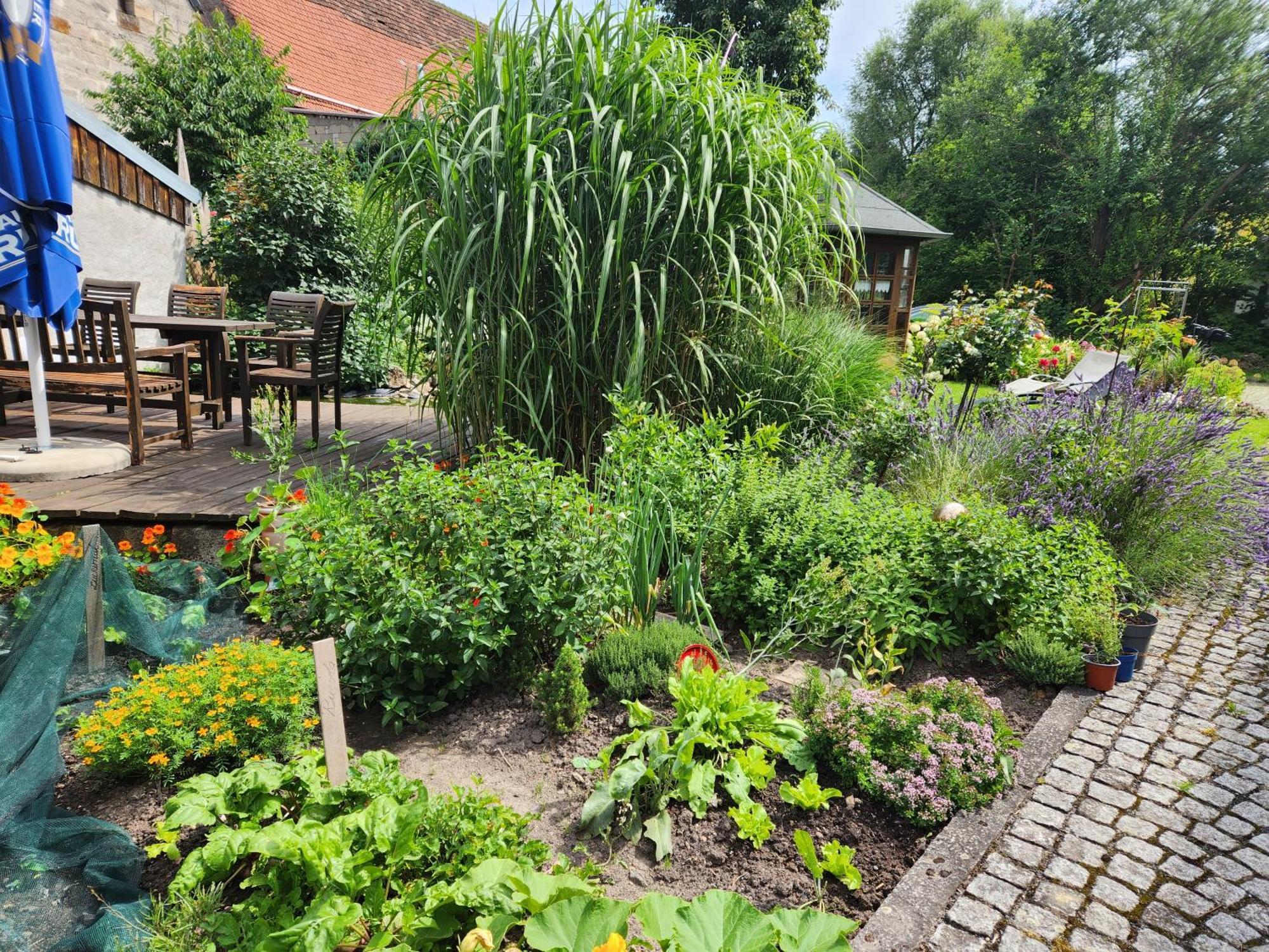 Familienfreundlich Im Naturpark Hassberge Mit Gehobener Gastronomie Kirchlauter Dış mekan fotoğraf